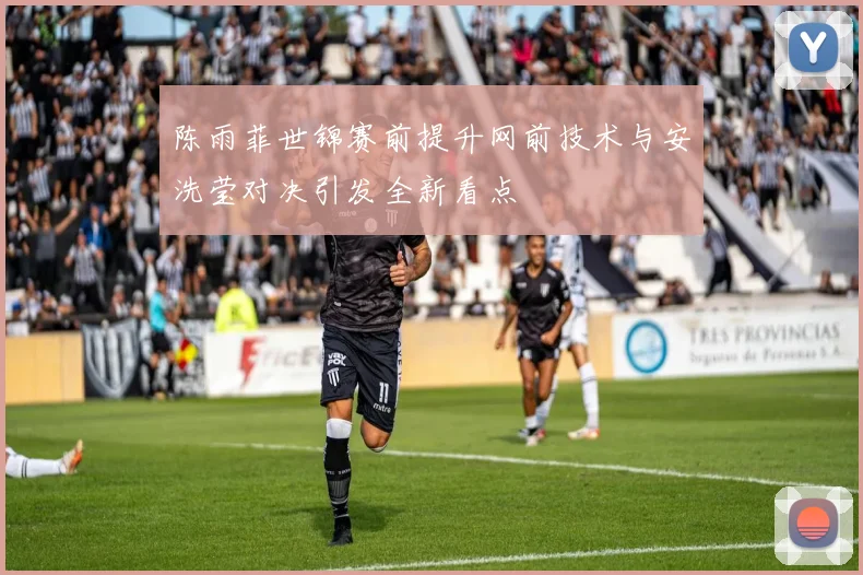 陈雨菲世锦赛前提升网前技术与安洗莹对决引发全新看点