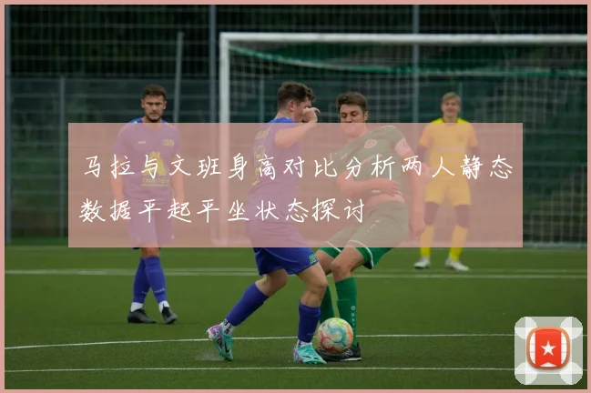 马拉与文班身高对比分析两人静态数据平起平坐状态探讨